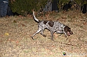 VBS_6430 - Inaugurazione Stagione 2022-23 Simulazione Ricerca Tartufo